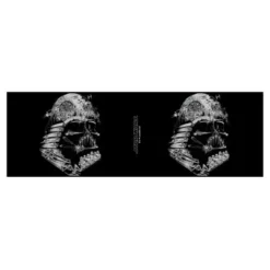 Star Wars Darth Vader Death Star Collage Stainless Steel Tumbler w/Lid