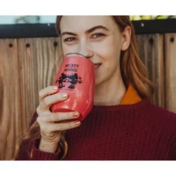 Silver Buffalo Disney Mickey & Minnie Stainless Steel Tumbler with Lid | Holds 10 Ounces -WATER BOTTLES Sales unnamed file 1017