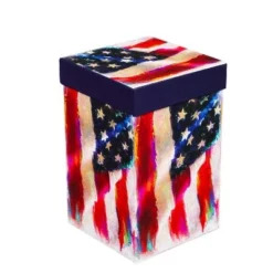 Evergreen Beautiful American Flag Ceramic Travel Cup with Lid - 5 x 4 x 7 Inches -WATER BOTTLES Sales unnamed file 2444