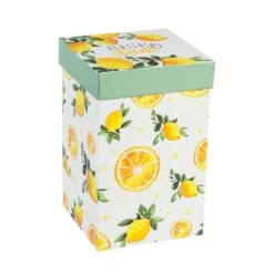 Evergreen Flag Ceramic Travel Cup, 17 OZ. ,w/box and Tritan Lid, Lemon Drop Collection -WATER BOTTLES Sales unnamed file 2643