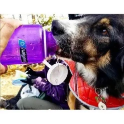 Nalgene 32oz Wide Mouth Water Bottle Gray