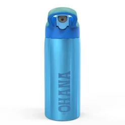 Stitch 19oz Stainless Steel Double Wall Water Bottle - Zak Designs