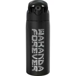 Avengers Classic Black Panther 19oz Stainless Steel Double Wall Water Bottle - Zak Designs -WATER BOTTLES Sales unnamed file 3645