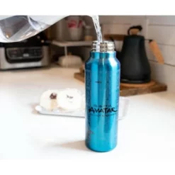 Silver Buffalo Avatar: The Last Airbender Aang Stainless Steel Water Bottle | Holds 27 Ounces -WATER BOTTLES Sales unnamed file 5541