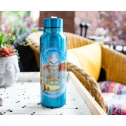 Silver Buffalo Avatar: The Last Airbender Aang Stainless Steel Water Bottle | Holds 27 Ounces -WATER BOTTLES Sales unnamed file 5542